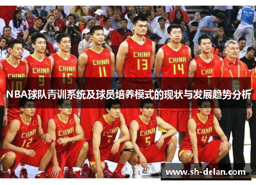 NBA球队青训系统及球员培养模式的现状与发展趋势分析