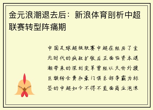 金元浪潮退去后：新浪体育剖析中超联赛转型阵痛期