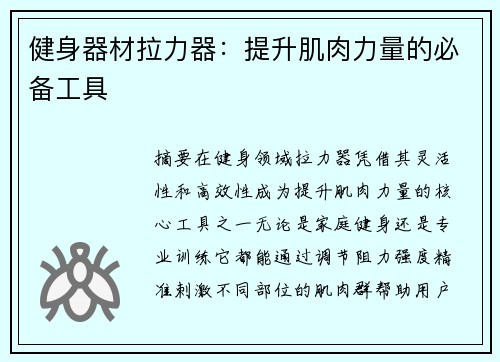 健身器材拉力器：提升肌肉力量的必备工具